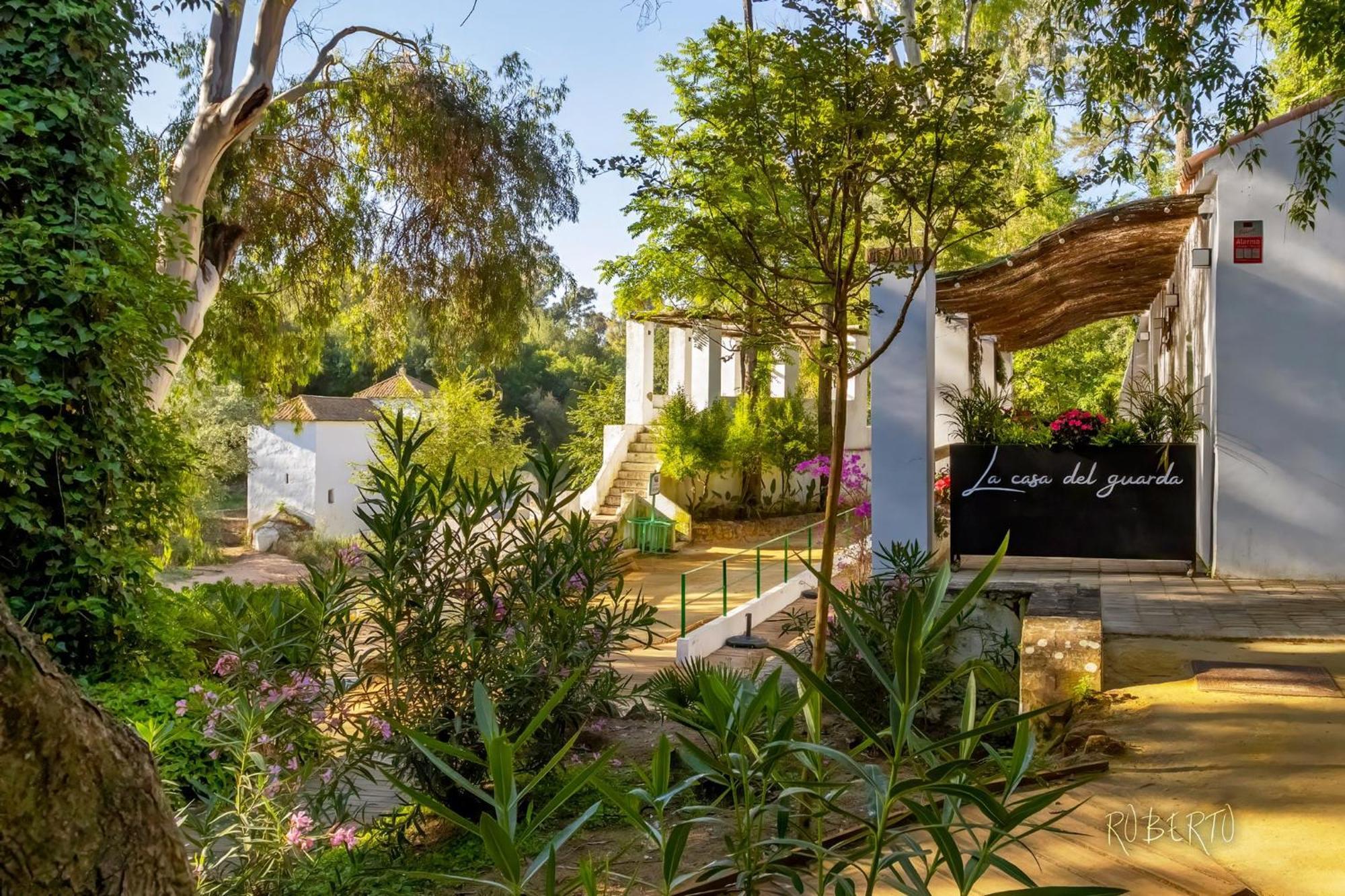 Apartamento Nuevo Centrico Con Aparcamiento Privado Incluido Alcalá de Guadaira Exterior foto